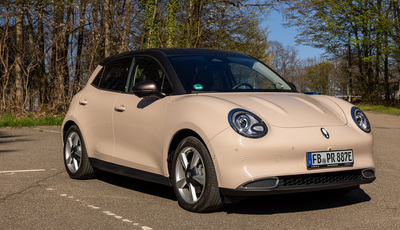 Die flippige Katze im Test - Ora Funky Cat