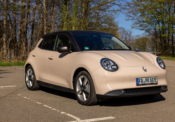 Topseller Ora Funky Cat