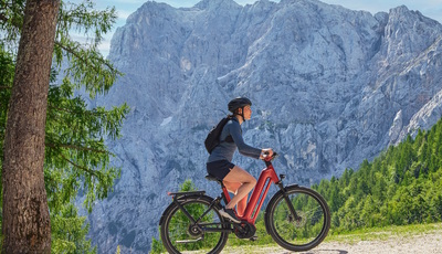 Touren-Pedelec Gazelle Eclipse - Aparter Allrounder