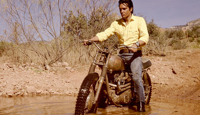 Ikone Elvis Presley und Triumph