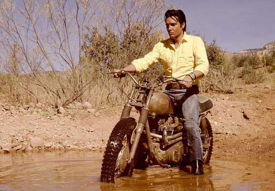 Ikone Elvis Presley und Triumph