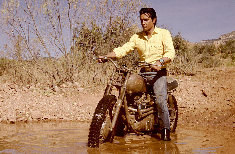 Ikone Elvis Presley und Triumph