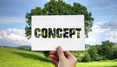 mid-Kommentar: Wenn Greenpeace rechnet