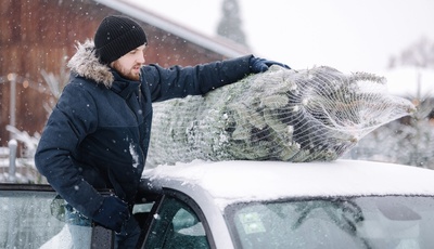 Richtiger Transport vom Weihnachtsbaum