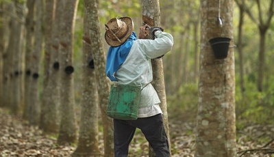 Pirelli: Top-Bewertung im Kampf gegen den Klimawandel