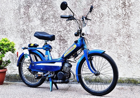 Langfinger lieben Mopeds