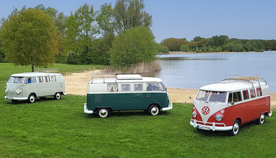 Maikäfer-Camping mit kultigen VW-Bussen