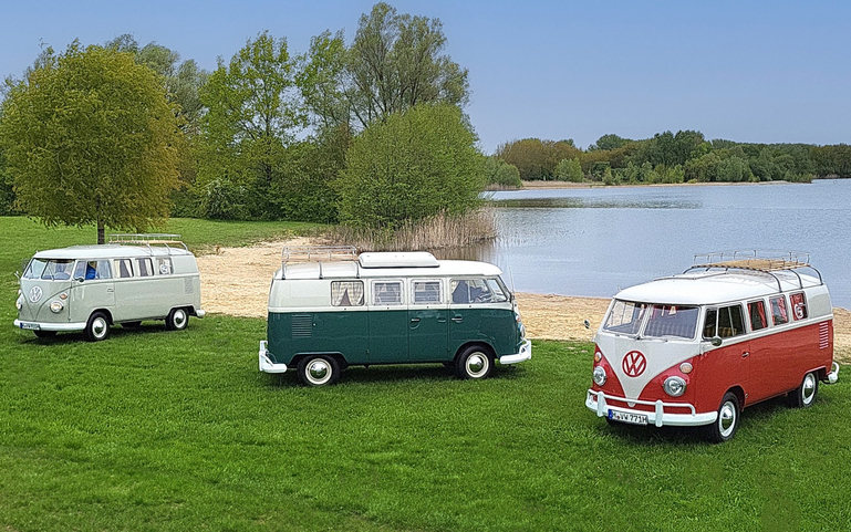 Maikäfer-Camping mit kultigen VW-Bussen