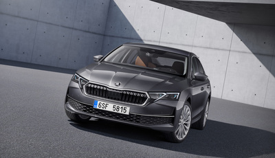 Skoda als Preis-Leistungs-Sieger