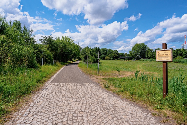Skoda Auto: Voller Einsatz für die Umwelt