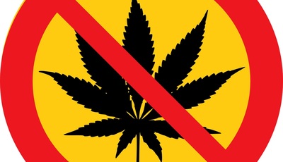 Cannabis am Steuer: Autofahrer sagen Nein zum Grenzwert