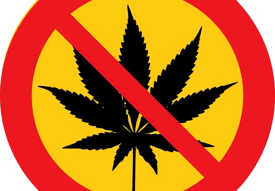 Cannabis am Steuer: Autofahrer sagen Nein zum Grenzwert