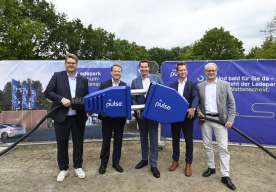 Aral pulse plant Großes