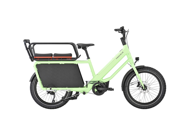 E-Cargobike Pegasus Famulo - Breitreifen und 250 Kilo Gesamtgewicht E-Cargobike Pegasus Famulo - Breitreifen und 250 Kilo Gesamtgewicht