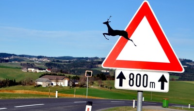 Alles, was Sie über die Verkehrskunde wissen müssen