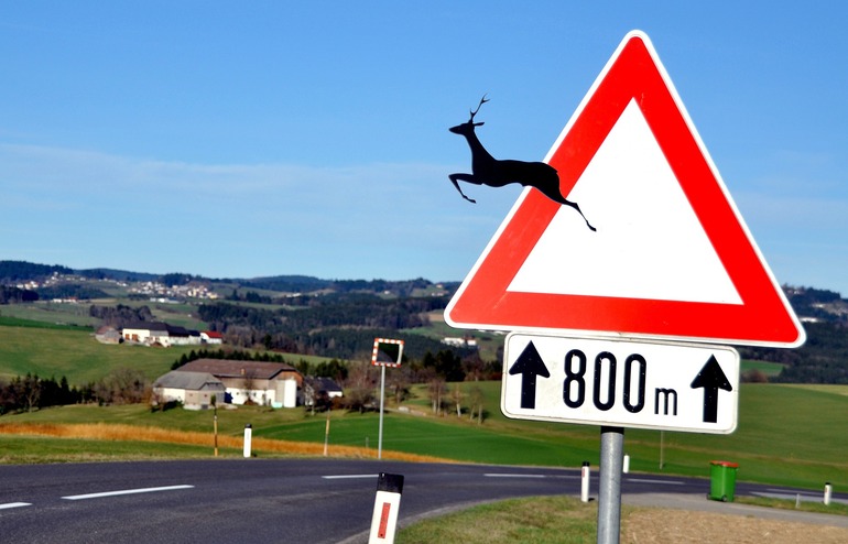 Alles, was Sie über die Verkehrskunde wissen müssen