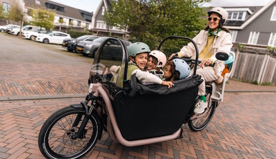 Decathlon Btwin F900E Family - Schwerlast-Stromer