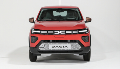 Preis beim Elektroauto entscheidend