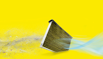 Schimmel, Pollen und Feinstaub in der Autoluft