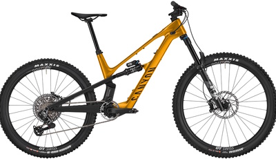 Canyon Spectral:Onfly - Leicht und leise