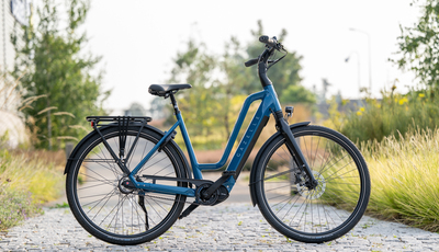 Stadt-Pedelec Gazelle Chamonix C5 - Mehr Schub