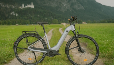 Decathlon Rockrider E-ACTV 900 - Trekking-Pedelec mit Automatik