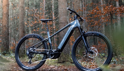 Simplon Cure und Sengo :e - Hoch und weit