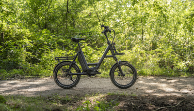 i:SY P12 ZR mit Pinion MGU - Klein und superfein
